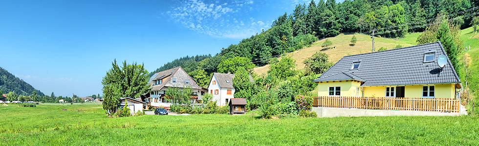 Ferienhaus in Münstertal - Hasengrunder Ruhe